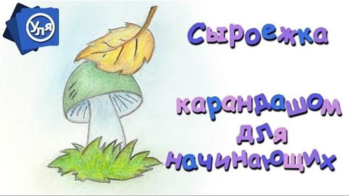 Рисунки поэтапно Грибы Сыроежки // Рисунки карандашом для начинающих Рисунки поэтапно Грибы Сыроежки // Рисунки карандашом для начинающих