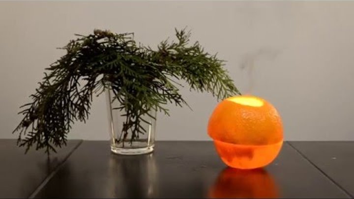 Новогодняя свеча из апельсина и оливкового масла/Christmas candle of orange and olive oil