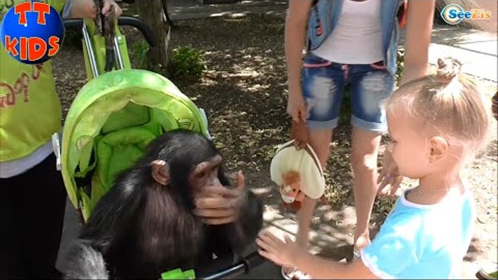 ✔ VLOG Девочка – Сюрприз Зоопарк Видео для детей Ярослава знакомится с обезьянкой Серия 5 ✔