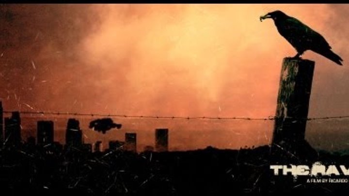 THE RAVEN | A sci-fi film by Ricardo de Montreuil THE RAVEN | A sci-fi film by Ricardo de Montreuil