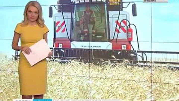 Комбайны Ростсельмаш помогают собирать урожай на Кубани репортаж канала Россия 1