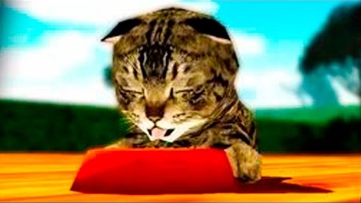 Играем в СИМУЛЯТОР КОШКИ #2 приключение мульт игр про котят развлекательное видео для детей ПУРУМЧАТ Играем в СИМУЛЯТОР КОШКИ #2 приключение мульт игр про котят развлекательное видео для детей ПУРУМЧАТ