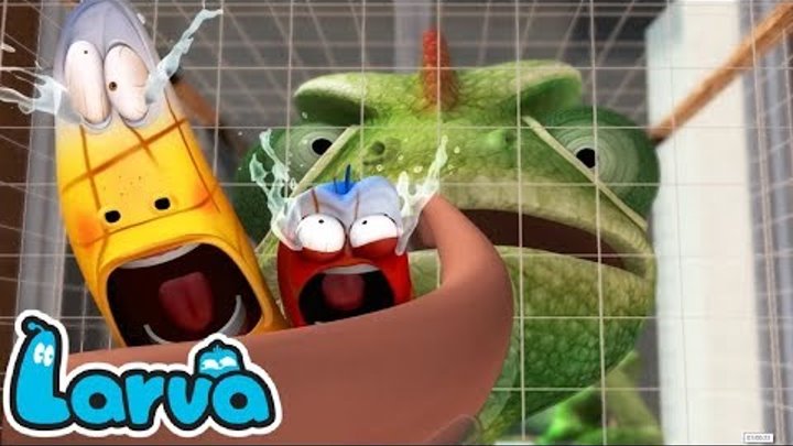 Larva | Larva Cartoon Season 1 Episode 61 ~ 104 | Larva Full Movie | Lavar New