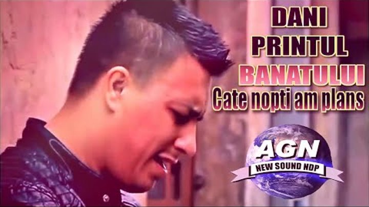 Dani Printul Banatului - Cate nopti am plans (Oficial Audio) Dani Printul Banatului - Cate nopti am plans (Oficial Audio)