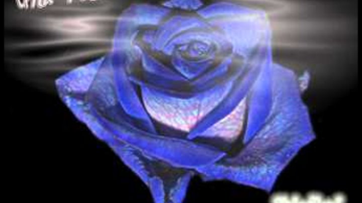 ДжонПоль Леонне - Una rosa blu