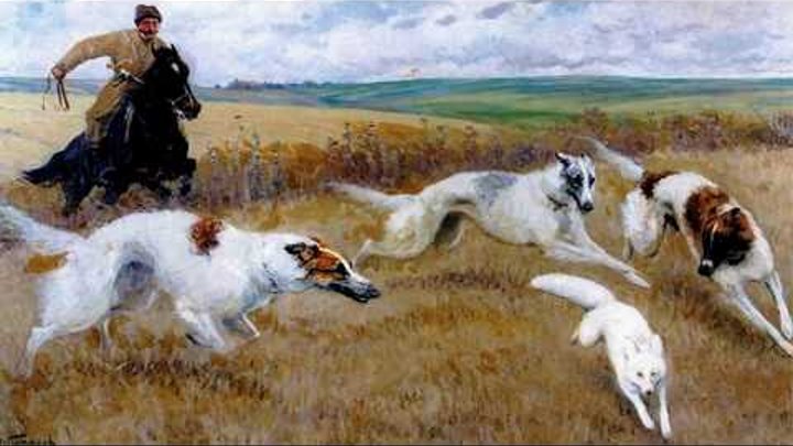 Русская борзая, порода охотничьих собак (рассказывает Ирина Коршунова)