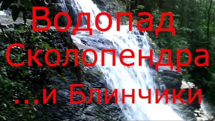 Самуи #15. Водопад Кхун Си (Khun Si Waterfall). Сколопендра. Мистер Панкейк Мэн (Mr. Pancake Man). смотреть онлайн Самуи #15. Водопад Кхун Си (Khun Si Waterfall). Сколопендра. Мистер Панкейк Мэн (Mr. Pancake Man).