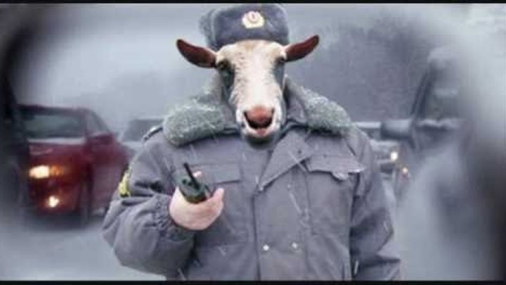 ИДПС 25 регион Плохой - "ХОРОШИЙ" полицейский