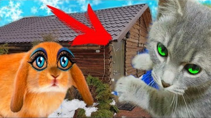 РУМ ТУР по новому ДОМУ КРОЛИКА БАФФИ и КОТА МАКСА первая реакция / Галчата тв РУМ ТУР по новому ДОМУ КРОЛИКА БАФФИ и КОТА МАКСА первая реакция / Галчата тв