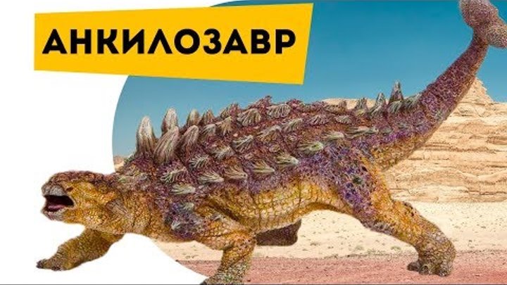Динозавры Тираннозавр против анкилозавра. Про динозавров детям Ankylosaurus Познаватель кот Семен Динозавры Тираннозавр против анкилозавра. Про динозавров детям Ankylosaurus Познаватель кот Семен