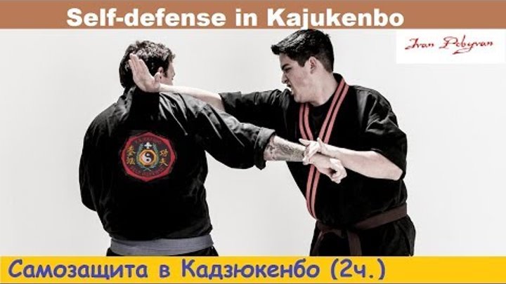 Самозащита в Кадзюкенбо (ч. 2): Болевые приемы на руку противника