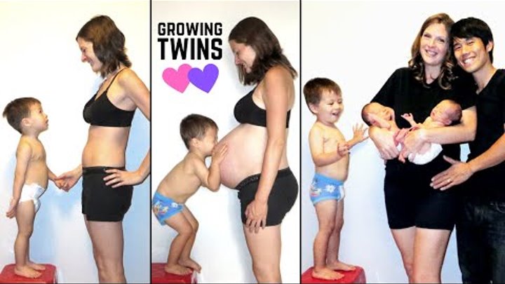 Twin Pregnancy Progression (Stop Motion TIME LAPSE)