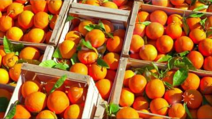 ПОЛЬЗА АПЕЛЬСИНА | апельсин польза для здоровья, калорийность апельсина, полезные свойства