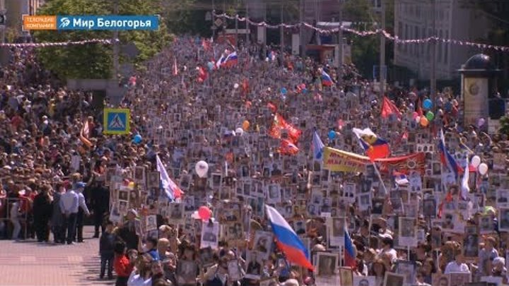 «Бессмертный полк – 2016» в Белгороде «Бессмертный полк – 2016» в Белгороде