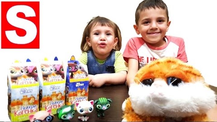 Выбери Котенка ЧЕЛЛЕНДЖ Игрушки для Детей Choose your Kitten challenge Toys for Kids
