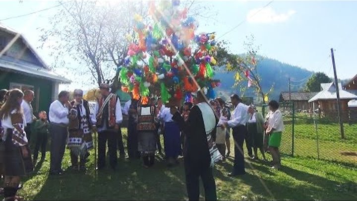 Традиційне гуцульське весілля в Карпатах. Повне відео