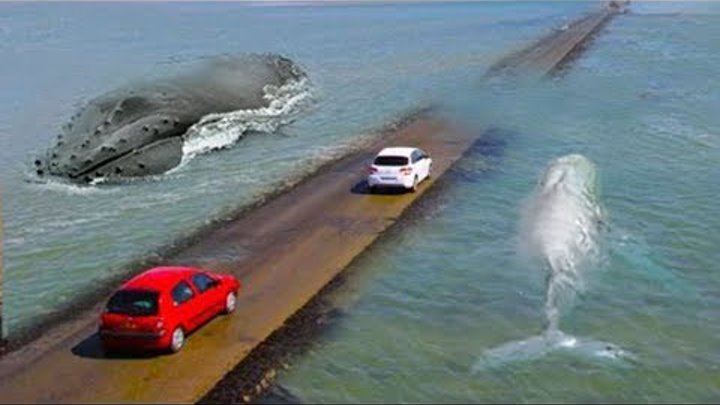 6 Carreteras Más Peligrosas del Mundo смотреть онлайн 6 Carreteras Más Peligrosas del Mundo