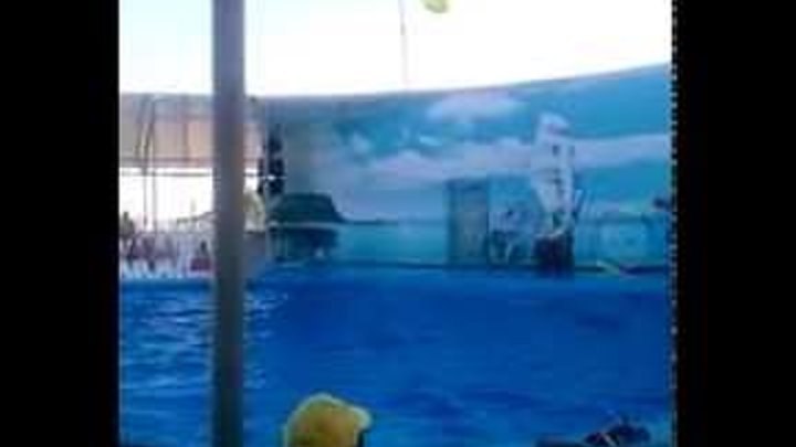 Бердянск "Немо" 2016 смотреть онлайн Бердянск "Немо" 2016