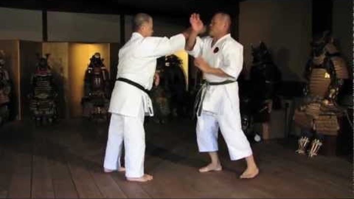 Worlds Karate Legend MORIO HIGAONNA Goju-ryu Master 10th Dan (pt.2)
