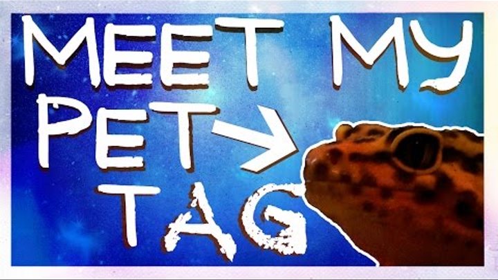 MEET MY PET TAG. Мой домашний динозавр. Эублефар. смотреть онлайн MEET MY PET TAG. Мой домашний динозавр. Эублефар.