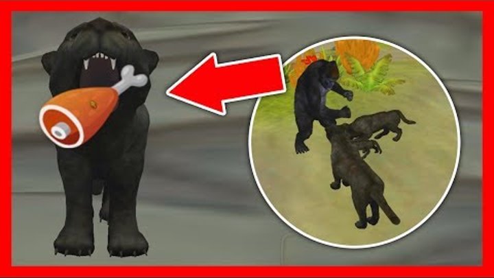 Симулятор ПАНТЕРЫ выживание в Джунглях #3 новая мультяшная игра от ДЕТСКИЕ ИГРЫ играем в мульт игру Симулятор ПАНТЕРЫ выживание в Джунглях #3 новая мультяшная игра от ДЕТСКИЕ ИГРЫ играем в мульт игру