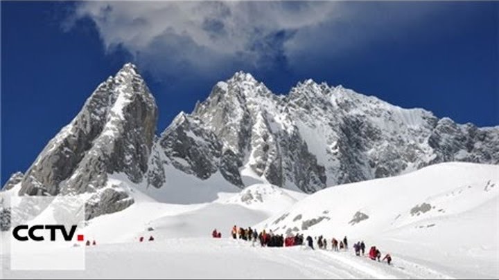 Документальные фильмы: Песнь о лесах Серия 7 Священное дерево на заснеженной земле Часть 1 смотреть онлайн Документальные фильмы: Песнь о лесах Серия 7 Священное дерево на заснеженной земле Часть 1