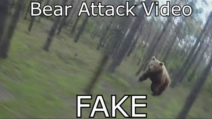 Bear Attack, Man is trying to run away from attacking Bear: GoPro - WHY IT IS FAKE!