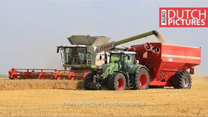 Gerstenernte mit 2x neue Claas Lexion 770 TT | Barley harvest XXL | LU Schmidt | Adelebsen