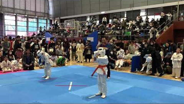 Соревнование по каратэ. Русский мальчик, Япония