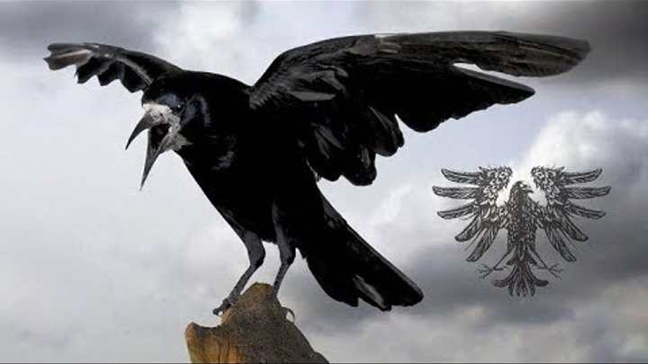 Schwarzer Engel - Vom Galgen tönt die Krähe