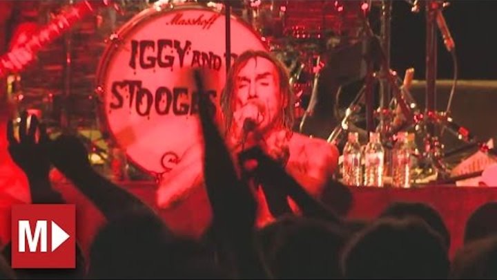Iggy and the Stooges | I Wanna Be Your Dog | Live in Sydney Iggy and the Stooges | I Wanna Be Your Dog | Live in Sydney