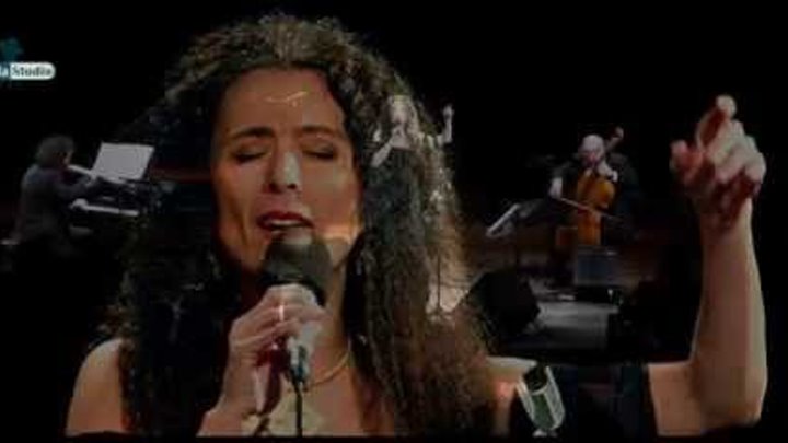 Yiddish Tango - Timna Brauer & Elias Meiri Ensemble - ORF Live