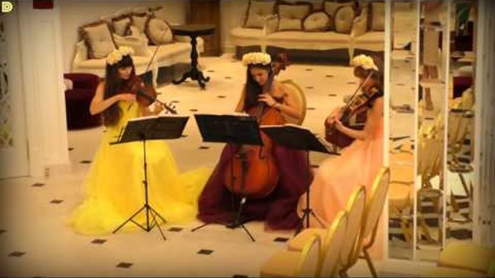 Les Champs Elysees (Джо Дассен) - струнное трио Violin Group DOLLS