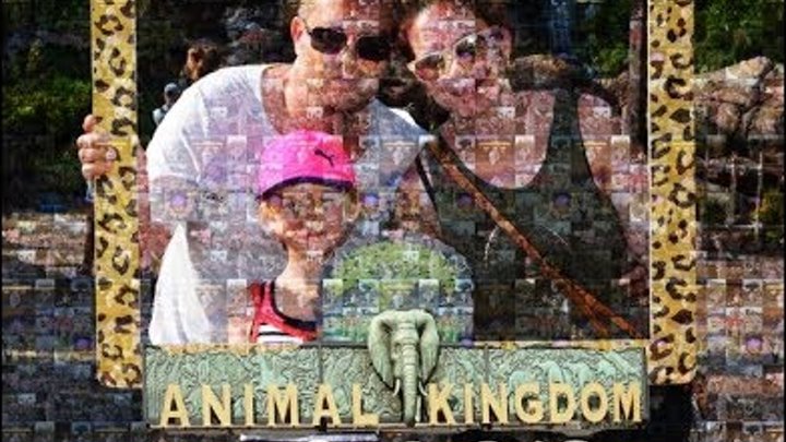 Disney World Orlando Animal Kingdom April 2018. Мир Диснея Орландо Флорида