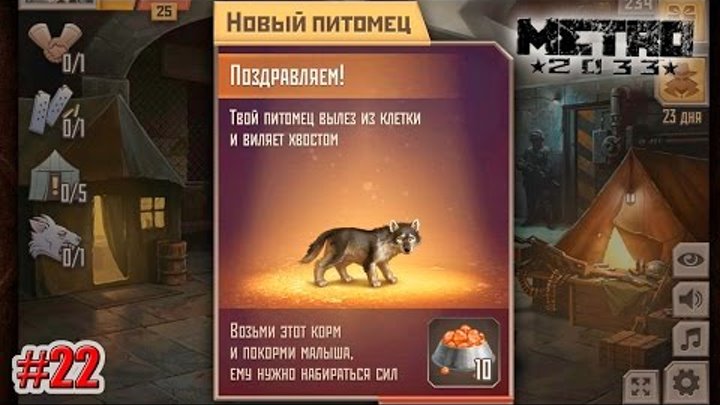 Метро 2033 Вконтакте КАК КУПИТЬ ВОЛЧОНКА? (200 ПОДАРКОВ) (22 серия) Метро 2033 Вконтакте КАК КУПИТЬ ВОЛЧОНКА? (200 ПОДАРКОВ) (22 серия)