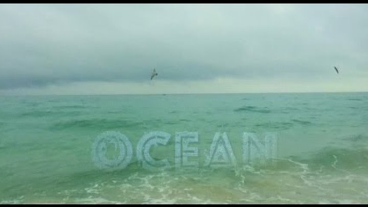 Ocean. Miami Beach. / Океан. Пляж Майами.
