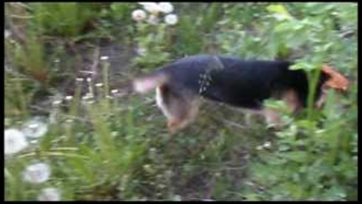 Sequence 01_4.wmv Sequence 01_4.wmv