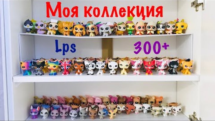 LPS: МОЯ КОЛЛЕКЦИЯ LITTLEST PET SHOP