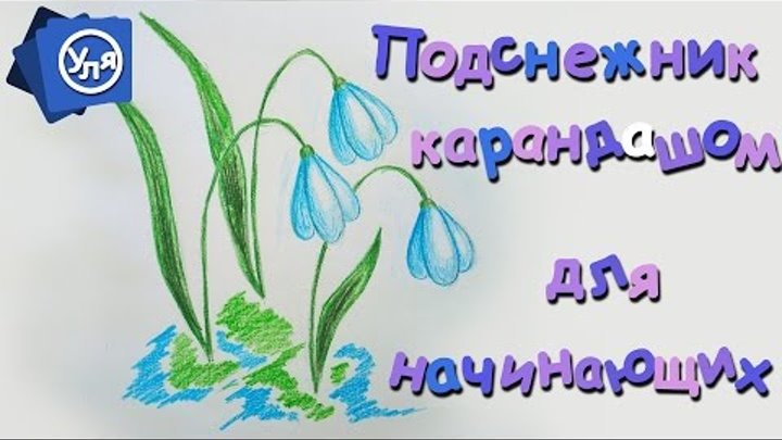 Подснежники // Рисунки карандашом Поэтапно для Начинающих Подснежники // Рисунки карандашом Поэтапно для Начинающих
