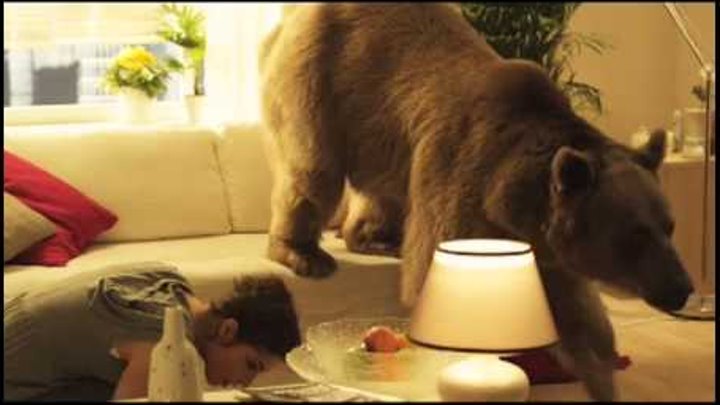 Superstar медведь Степан в бэкстейдже съемок ролика OBI