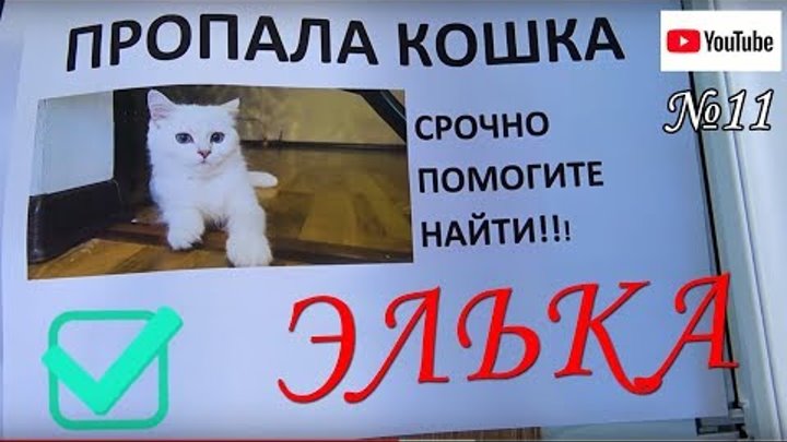 Угадай ПОПУЛЯРНЫЙ детский канал на YOUTUBE! Никита рассказывает, куда пропала ЭЛЬКА?