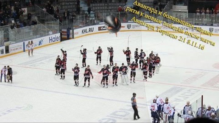 Авангард и болельщики задают ритм к новым победам после матча Авангард Торпедо 2:1 8.11.16 Авангард и болельщики задают ритм к новым победам после матча Авангард Торпедо 2:1 8.11.16