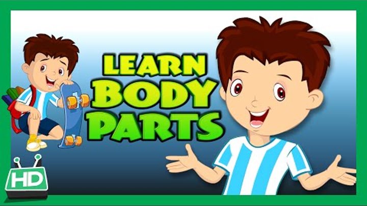 Body Parts for Kids Learning | Human Body Parts for Kids | KIDS HUT