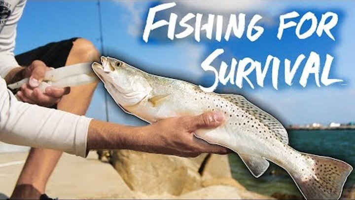 SURVIVAL FISHING one week eating ONLY the fish I catch