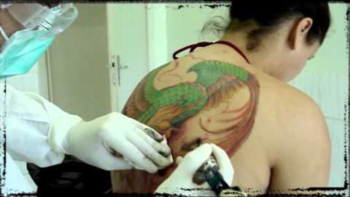 5º Cavaleiro - tattoo :: Fenix - freehand :: by Eder Ramos