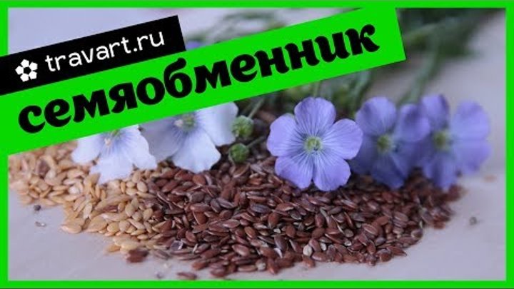 Каталог семян. Семяобменник. Старые семена. Меняемся натуральными семенами! Каталог семян. Семяобменник. Старые семена. Меняемся натуральными семенами!