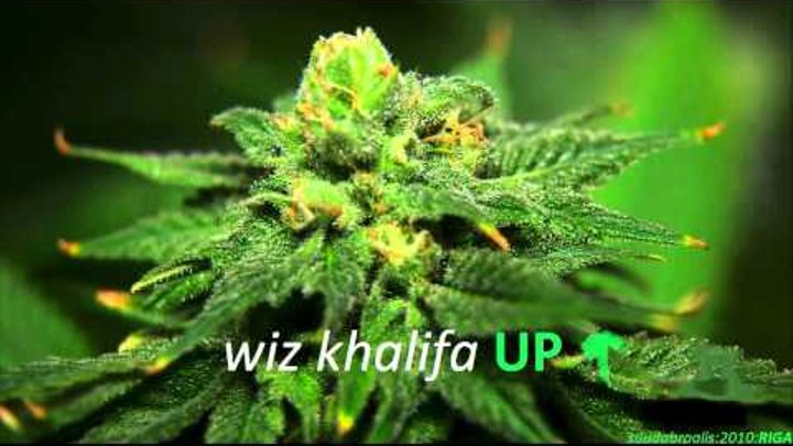 Wiz Khalifa - Up Wiz Khalifa - Up