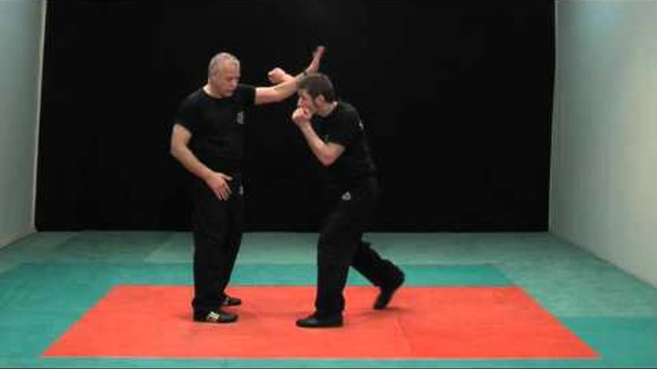 Krav Maga - Les techniques de base - Niveau 1 - Programme Ceinture Jaune - DVD 261.wmv