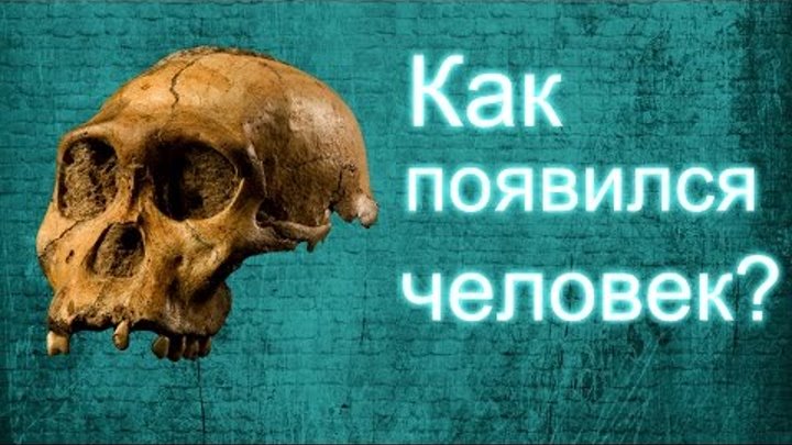 Как появился первый человек? | Первый человек на земле. Как появились первые люди? Первый человек. Как появился первый человек? | Первый человек на земле. Как появились первые люди? Первый человек.