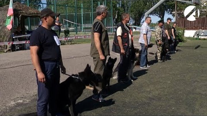 В Астрахани прошли соревнования для служебных собак